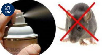 Dịch vụ diệt chuột - Công Ty TNHH Pestcontrol